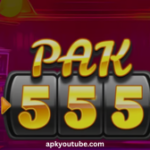 PK555 game