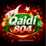 Qaidi 804 game