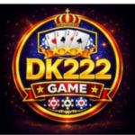 DK222 game